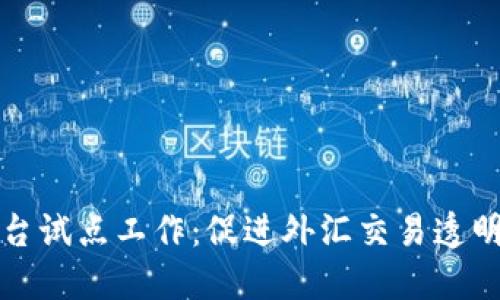 外汇局区块链平台试点工作：促进外汇交易透明化与安全性提升