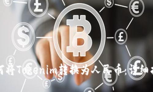 如何将Tokenim转换为人民币：详细指南