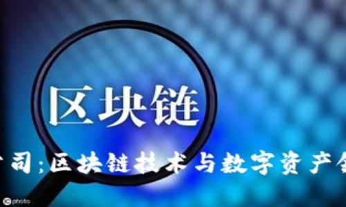 Tokenim公司：区块链技术与数字资产领域的先锋