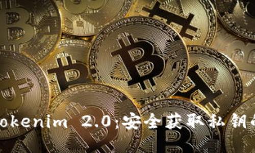 探索Tokenim 2.0：安全获取私钥的指南