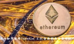 国内如何使用Tokenim 2.0：全面指南与实用技巧