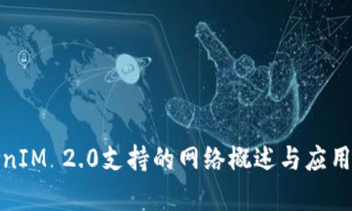 TokenIM 2.0支持的网络概述与应用前景