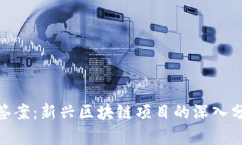 Tokenim测评签案：新兴区块链项目的深入分析与前景展望