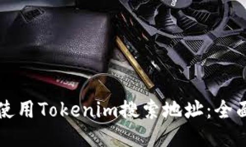 如何使用Tokenim搜索地址：全面指南