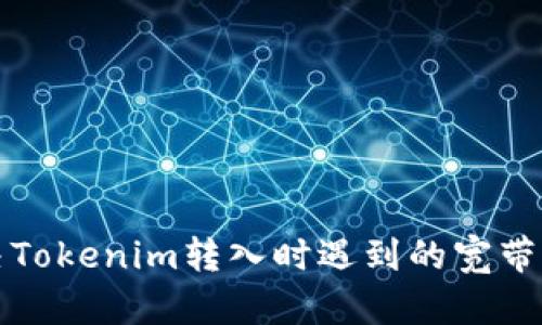 如何解决Tokenim转入时遇到的宽带不足问题