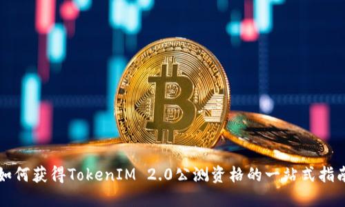 如何获得TokenIM 2.0公测资格的一站式指南