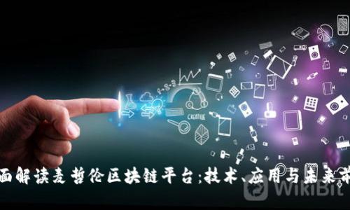 全面解读麦哲伦区块链平台：技术、应用与未来前景