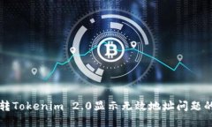 解决货币转Tokenim 2.0显示无效地址问题的详细指南