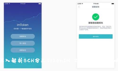 深入解析BCH分叉TokenIM 2.0的支持与影响
