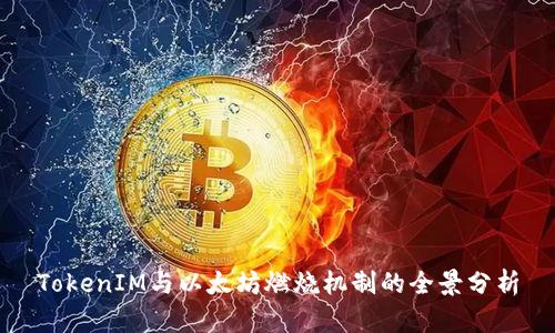 TokenIM与以太坊燃烧机制的全景分析