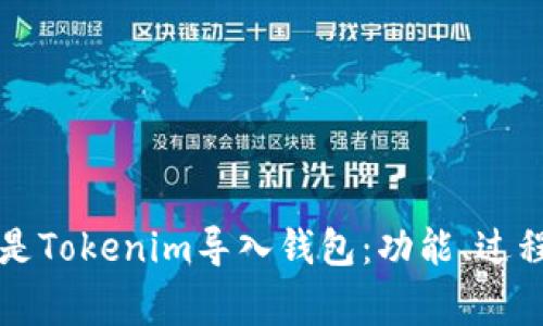 ### 什么是Tokenim导入钱包：功能、过程与注意事项