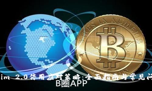  Tokenim 2.0停用应对策略：全面指南与常见问题解答