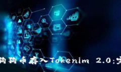 :如何将狗狗币存入Tokenim 2.0：完整指南