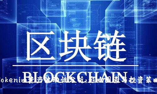 Tokenim资产波动性分析：影响因素与投资策略