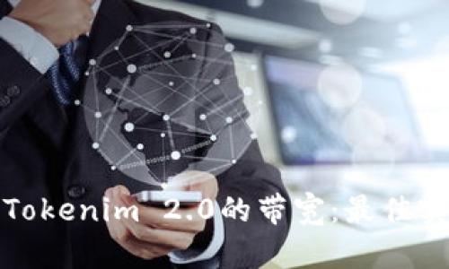 如何提升Tokenim 2.0的带宽：最佳实践与技巧
