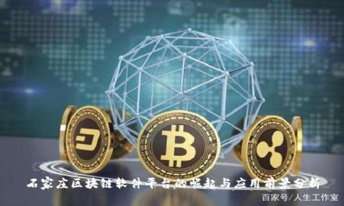 石家庄区块链软件平台的崛起与应用前景分析
