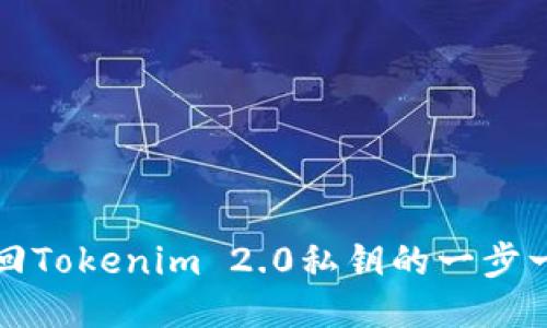 如何找回Tokenim 2.0私钥的一步一步指南