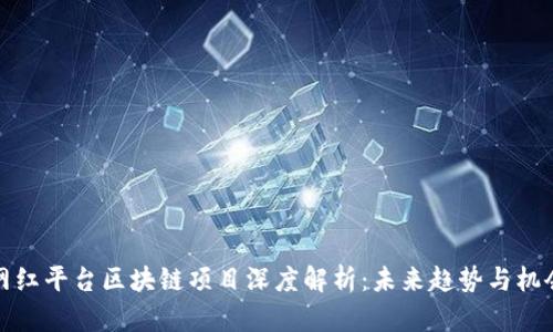 网红平台区块链项目深度解析：未来趋势与机会