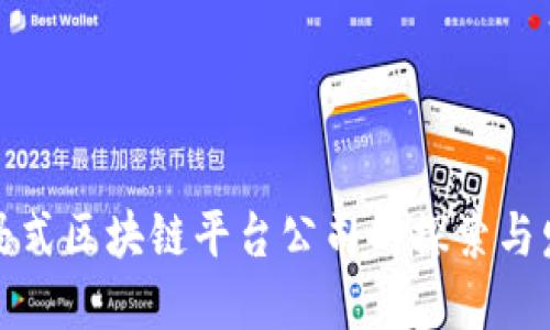 沉浸式区块链平台公司的探索与发展