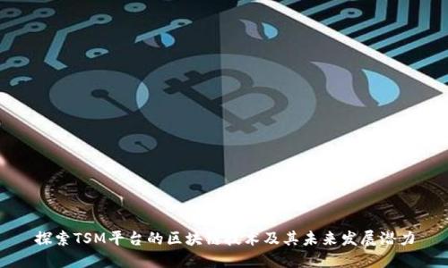 探索TSM平台的区块链技术及其未来发展潜力