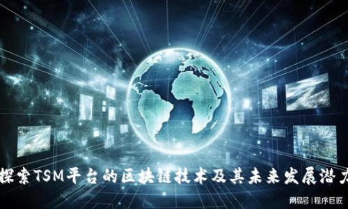 探索TSM平台的区块链技术及其未来发展潜力