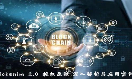   
Tokenim 2.0 授权原理：深入解析与应用实例