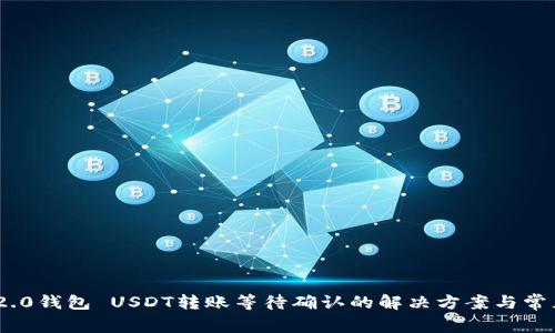 Tokenim 2.0钱包 USDT转账等待确认的解决方案与常见问题解析