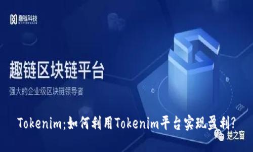 Tokenim：如何利用Tokenim平台实现盈利?