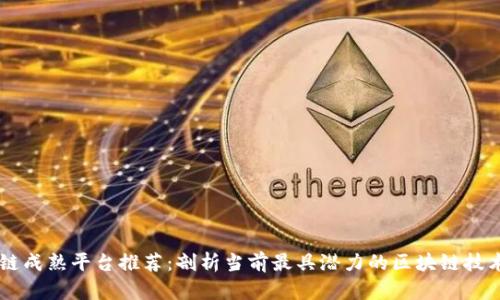 区块链成熟平台推荐：剖析当前最具潜力的区块链技术应用