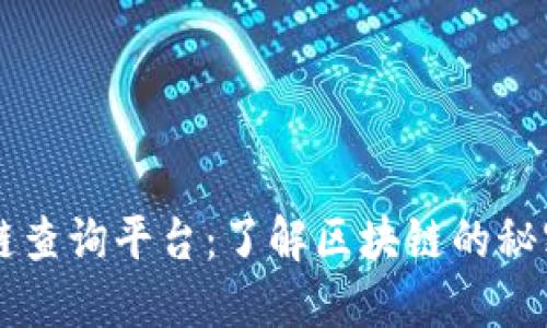 区块链查询平台：了解区块链的秘密武器