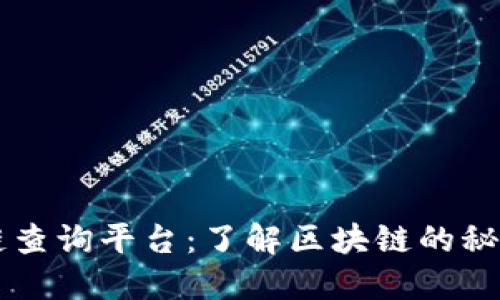 区块链查询平台：了解区块链的秘密武器