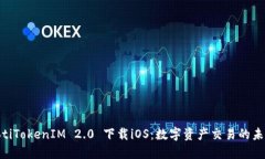 birtaotiTokenIM 2.0 下载iOS：数字资产交易的未来之路