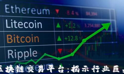 
国际领先的区块链交易平台：揭示行业巨头的竞争优势