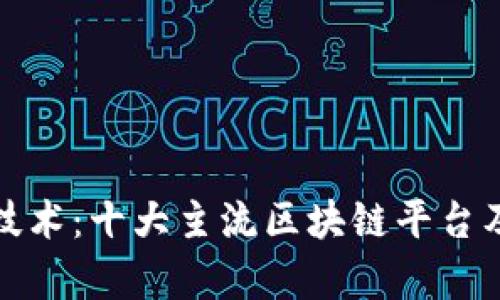 探索区块链技术：十大主流区块链平台及其应用前景