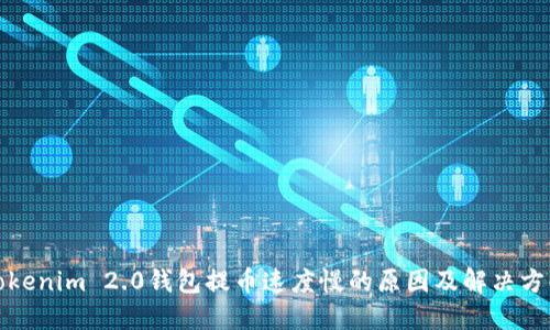 Tokenim 2.0钱包提币速度慢的原因及解决方案