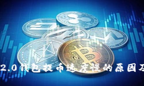 Tokenim 2.0钱包提币速度慢的原因及解决方案
