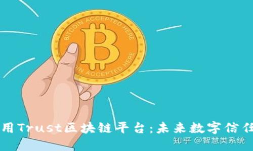 理解和应用Trust区块链平台：未来数字信任的新基石