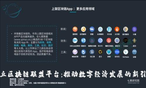 金丘区块链联盟平台：推动数字经济发展的新引擎