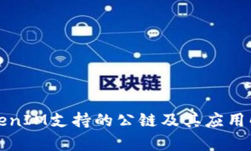 TokenIM支持的公链及其应用解析