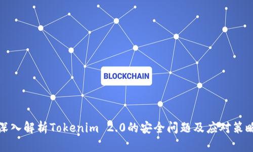 深入解析Tokenim 2.0的安全问题及应对策略
