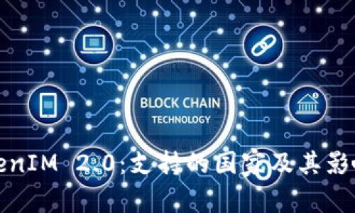 : TokenIM 2.0：支持的国家及其影响分析