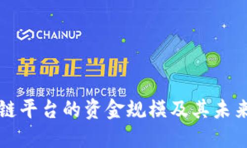 探讨区块链平台的资金规模及其未来发展潜力