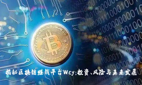 揭秘区块链赚钱平台Wcy：投资、风险与未来发展