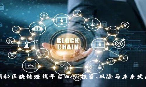 揭秘区块链赚钱平台Wcy：投资、风险与未来发展