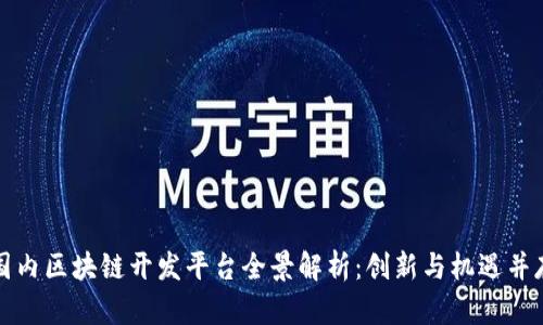 国内区块链开发平台全景解析：创新与机遇并存