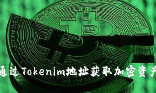如何通过Tokenim地址获取加密资产信息