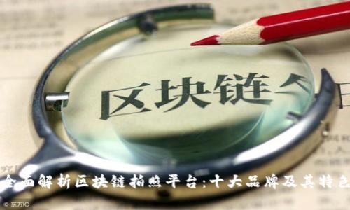 全面解析区块链拍照平台：十大品牌及其特色