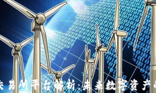 
区块链交易所平台解析：未来数字资产的承载体