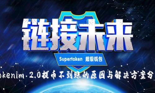 Tokenim 2.0提币不到账的原因与解决方案分析