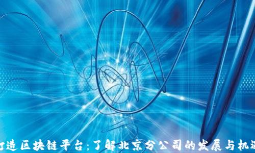 打造区块链平台:了解北京分公司的发展与机遇